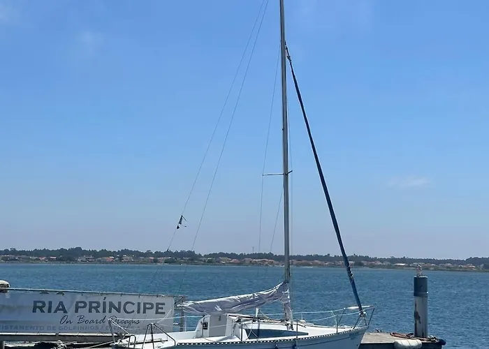 Apartment Premium & Pool Costa Nova