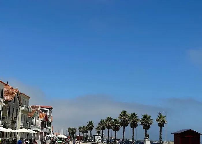 Premium & Pool Costa Nova